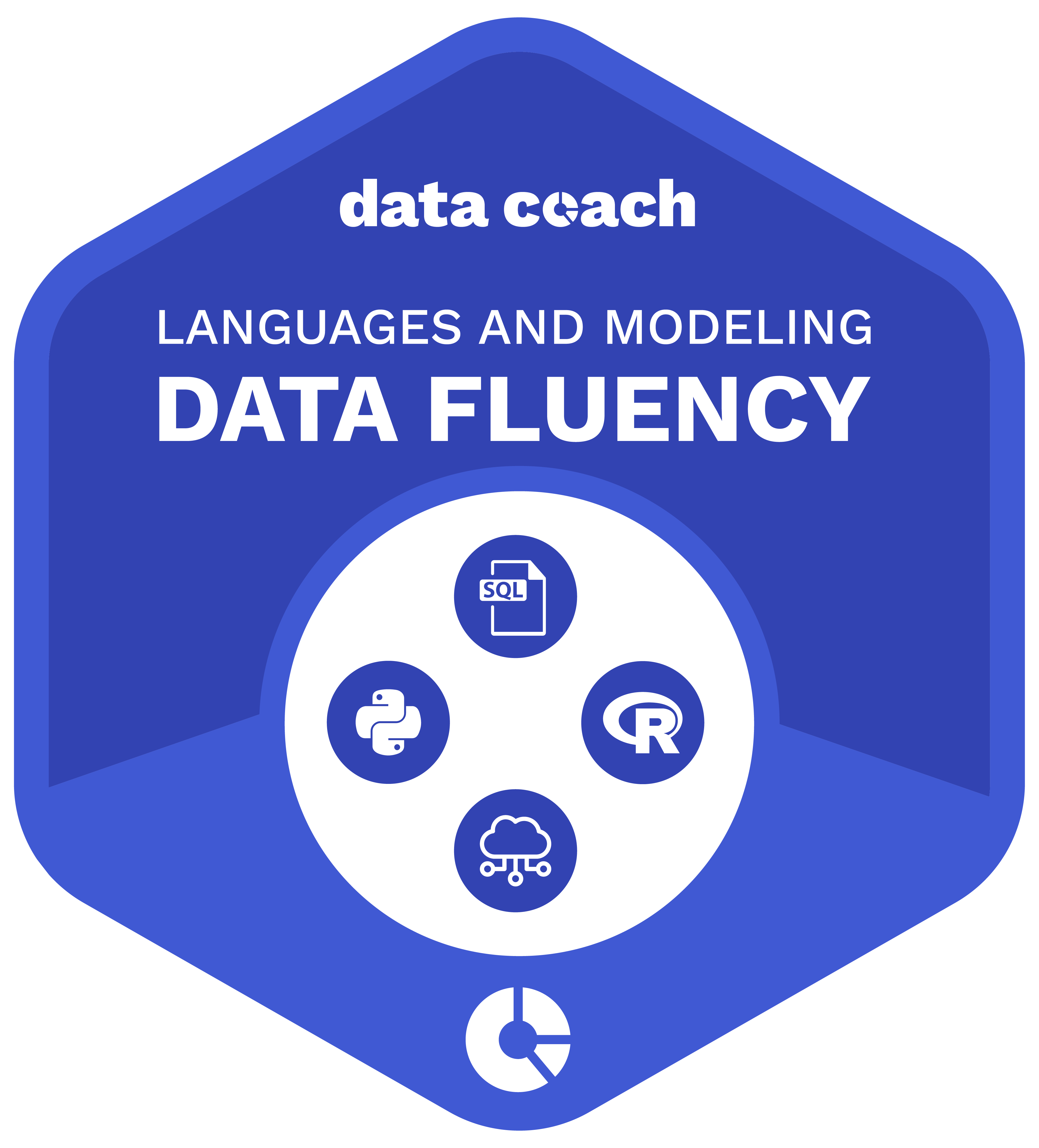 Data Fluency Analyst